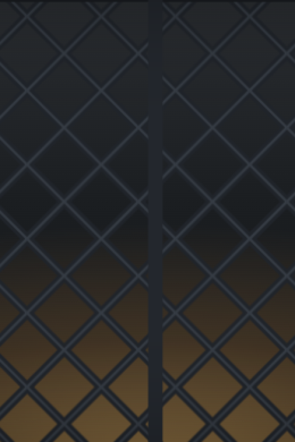 Accordion Security Gates